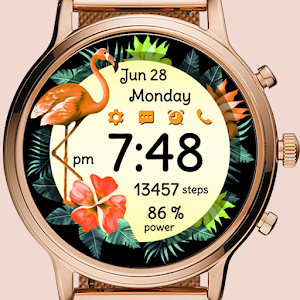 Flamingo Bloom Screenshot 3