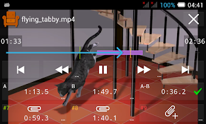 Steaming Player Screenshot 0