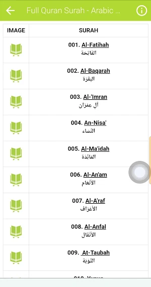 Islam Sobhi Quran Offline Screenshot 3