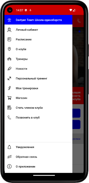 DavtyanTeam Screenshot 2