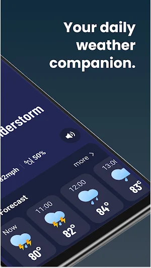 Live Weather Screenshot 1