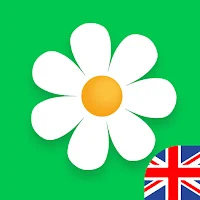 Online Fresh Flowers Delivery