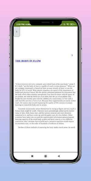 Flow The Psychology of Optimal Screenshot 2