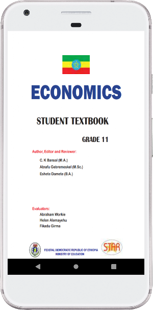 Economics Grade 11 Screenshot 1