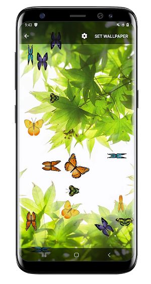 Butterfly and Blossom live wallpaper Screenshot 0