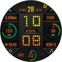 DIGI GARAMIN WS73 Watch face
