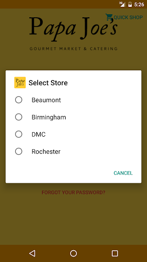 Papa Joe's Gourmet Market Screenshot 2