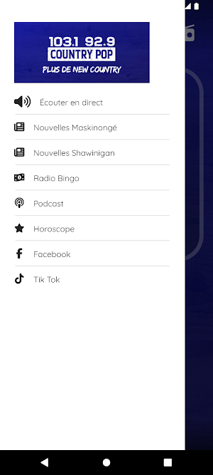 Radio Country Pop Screenshot 0