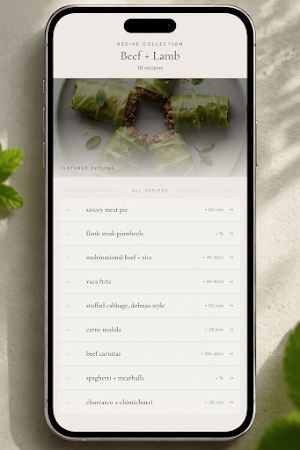 Keto Paleo Recipes Screenshot 2