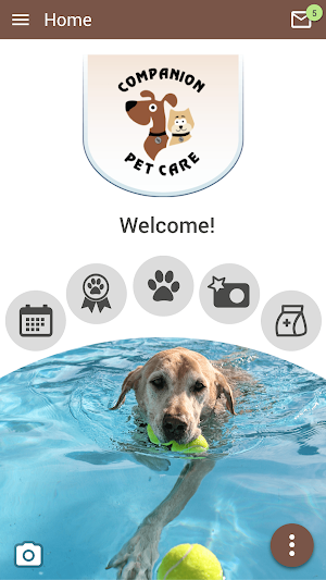 Companion Pet Care Screenshot 0