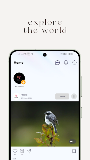 Fliicka Screenshot 3