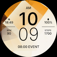 Brown Sporty Fit Watch Face
