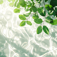 Verdant Waters Theme +HOME