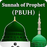 Sunnah of Holy Prophet (PBUH) 