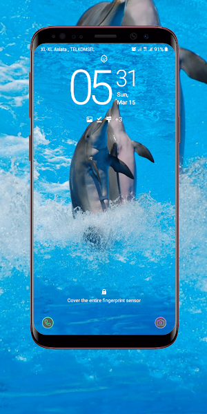 Dolphin Wallpaper Screenshot 3