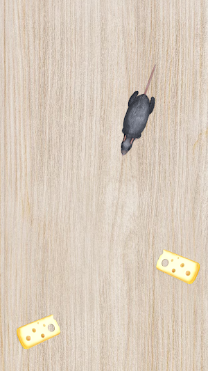 Mouse Simulator Cat Rat Games Screenshot 2