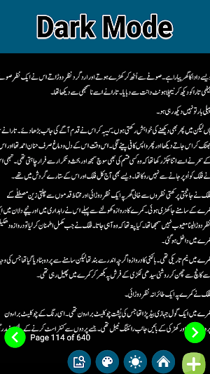Romantic Novel Pas E Aaina Screenshot 3