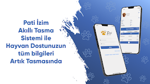 Patiizim Screenshot 2