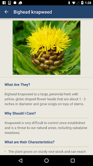 Washington Invasives Screenshot 2