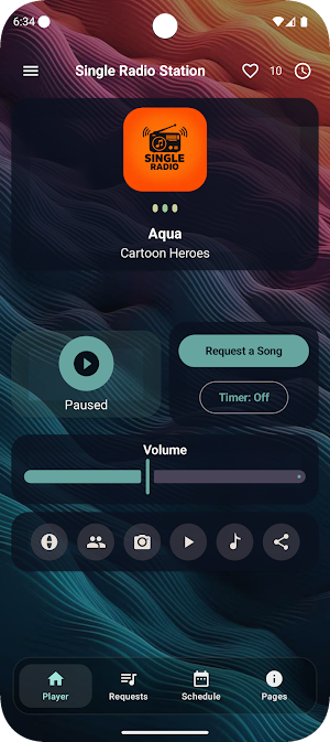 Single Radio Station Screenshot 1