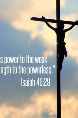 Bible Quotes Screenshot 0