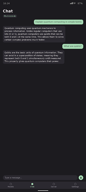 LLM Server — On-Device AI API Screenshot 1