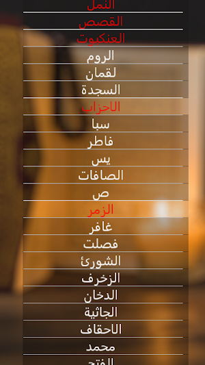عامر الكاظمي : القران الكريم صوت بدون انترنت Screenshot 1