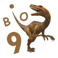 Class 9 Biology Notes Offline