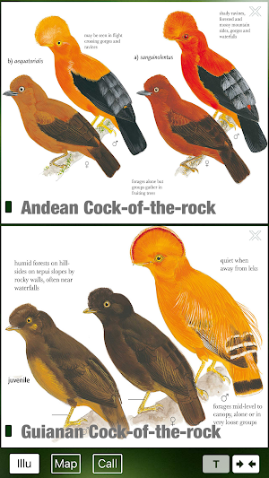 All Birds Colombia - A Sunbird Field Guide Screenshot 3