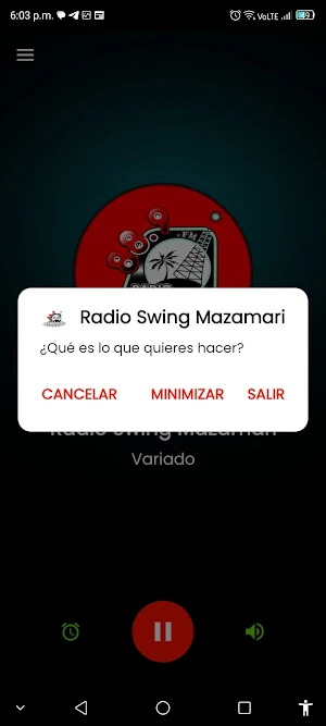 Radio Swing Mazamari Screenshot 1
