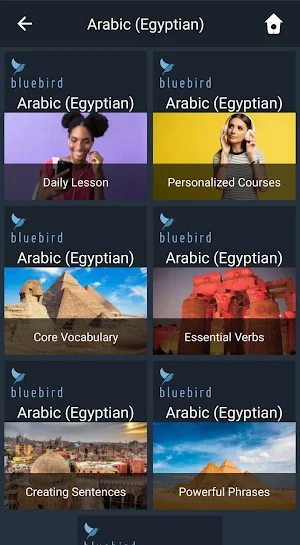 Learn Egyptian Arabic. Speak Egyptian Arabic. Screenshot 0