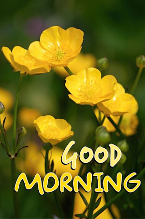 Good Morning Flowers Screenshot 2