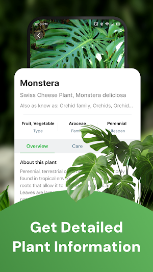 Plant Guide & Identifier Screenshot 1