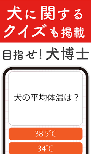 犬種クイズ！かわいい写真付き犬図鑑！犬の雑学・常識・知識教養 Screenshot 3