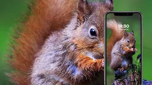 Animal Wallpapers Screenshot 2