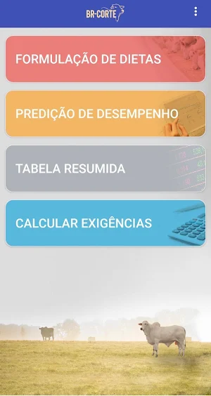 BR-Corte Screenshot 1