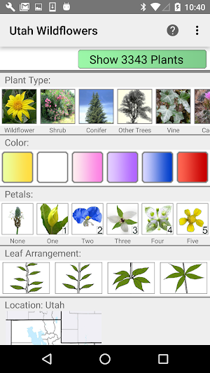 Utah Wildflowers Screenshot 0