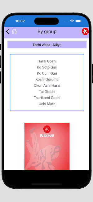 iBudokan Judo Screenshot 3