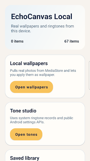 EchoCanvas Local Screenshot 0