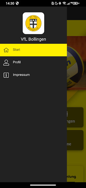 VfL Bollingen Screenshot 2