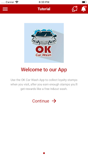 OK Hand Car Wash Screenshot 0