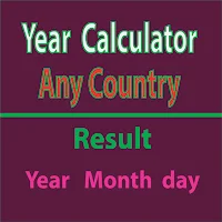 Digital Year Calculator