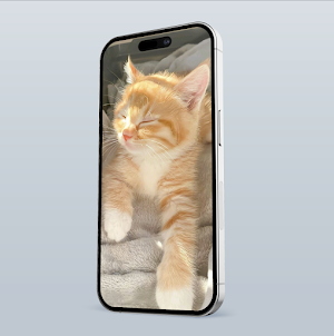 Sweet Cat Screenshot 1