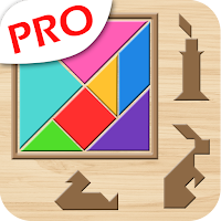 Tangram puzzle : polygram game