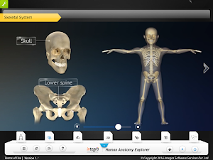 HumanAnatomy-SkeletalSystem Screenshot 1