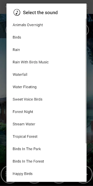 Beautiful Nature Sounds Screenshot 1