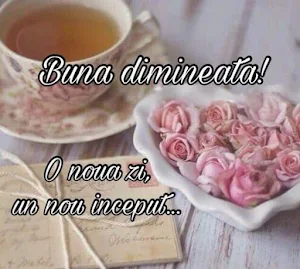 Buna dimineaţa Noapte bună Screenshot 3