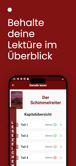 Der Schimmelreiter - Buch Screenshot 2