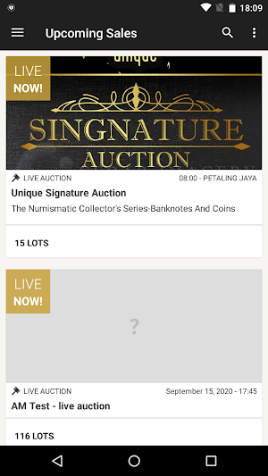 Unique Auctions Screenshot 0