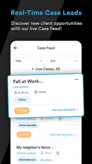 Vikk PRO - Legal AI & Leads Screenshot 2